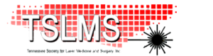 logo tslms